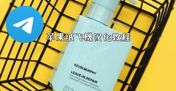 苹果纸飞機汉化教程