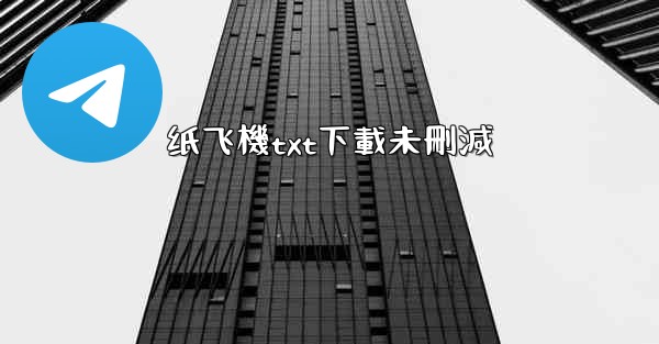 纸飞機txt下載未刪減