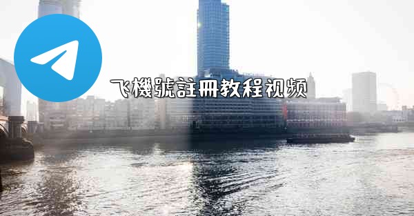 飞機號註冊教程视频
