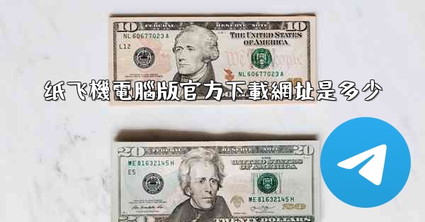 纸飞機電腦版官方下載網址是多少