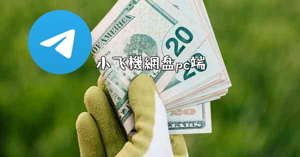 小飞機網盘pc端