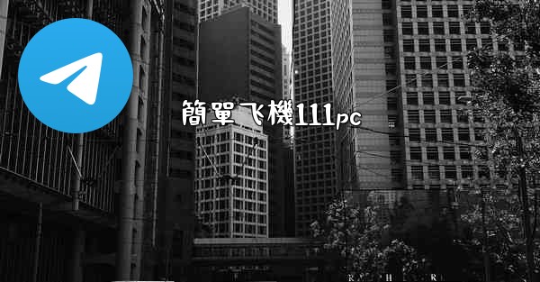 簡單飞機111pc