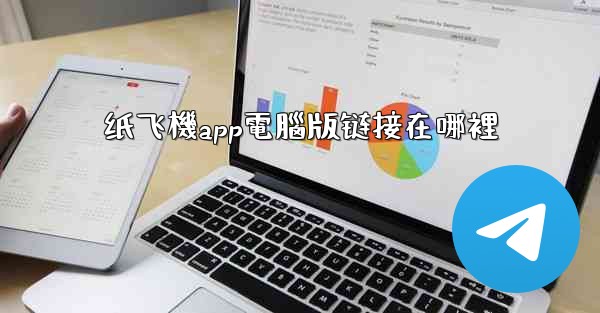 纸飞機app電腦版链接在哪裡