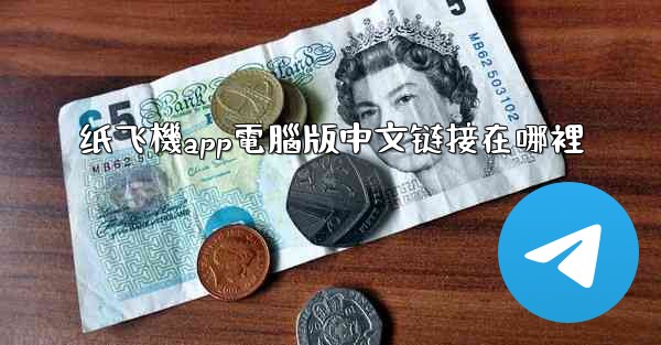 纸飞機app電腦版中文链接在哪裡