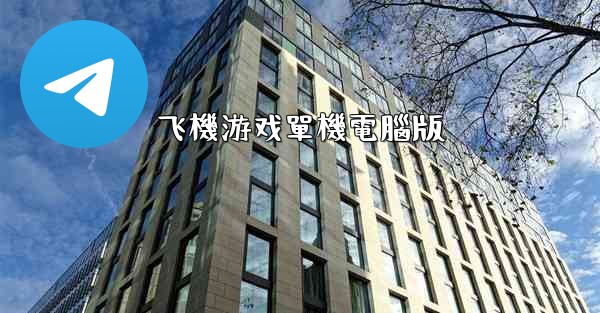 飞機游戏單機電腦版