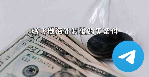 纸飞機海外賬號购买条件