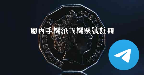 國內手機纸飞機賬號註冊