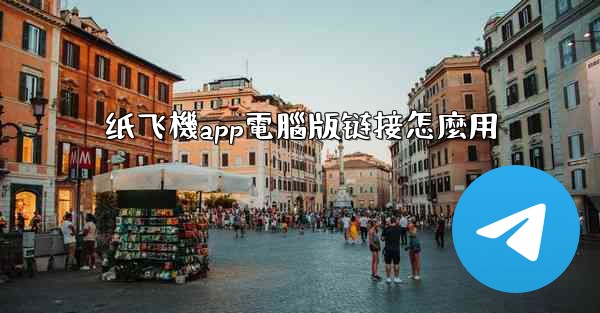 纸飞機app電腦版链接怎麼用