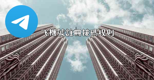 飞機號註冊接碼规则