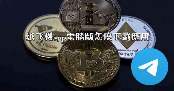 纸飞機app電腦版怎麼下載應用