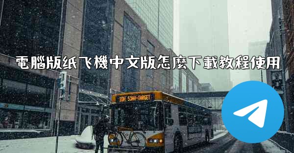 電腦版纸飞機中文版怎麼下載教程使用