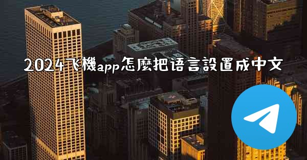 2024飞機app怎麼把语言設置成中文