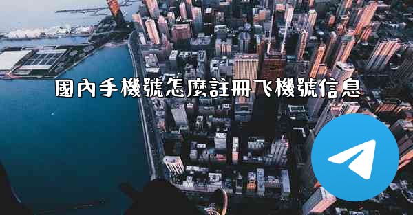 國內手機號怎麼註冊飞機號信息