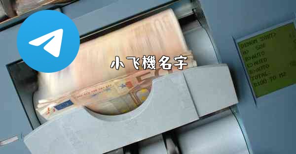 <b>小飞機名字</b>