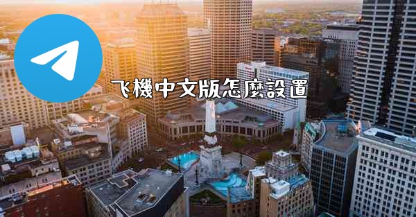 飞機中文版怎麼設置