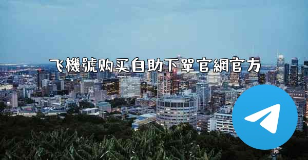 飞機號购买自助下單官網官方