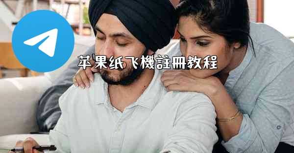 苹果纸飞機註冊教程