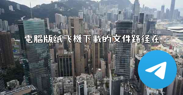 電腦版纸飞機下載的文件路径在