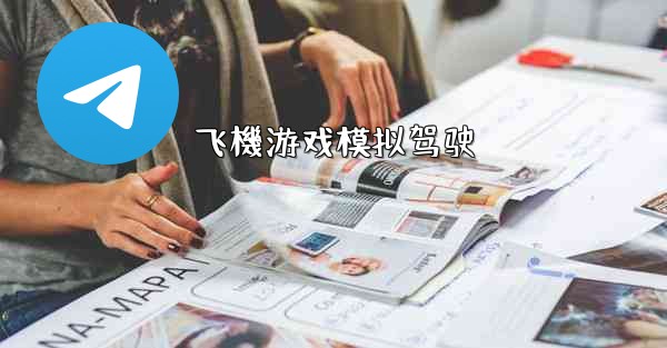 飞機游戏模拟驾驶