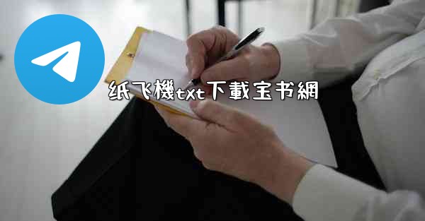 纸飞機txt下載宝书網