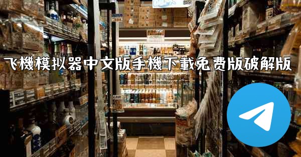 飞機模拟器中文版手機下載免费版破解版