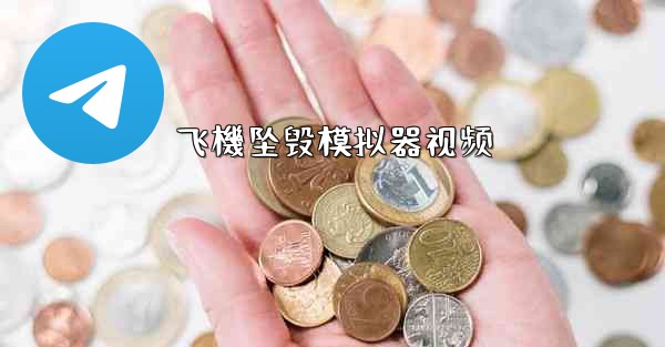 飞機坠毁模拟器视频