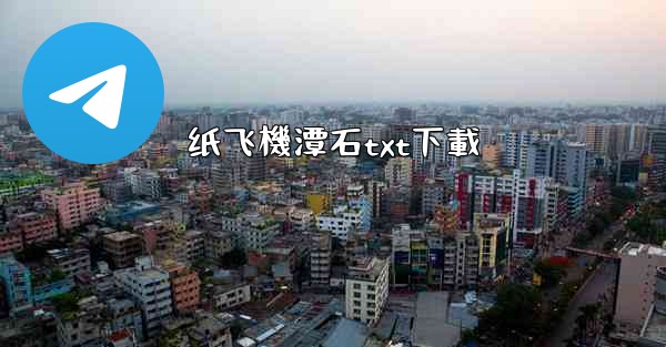 纸飞機潭石txt下載