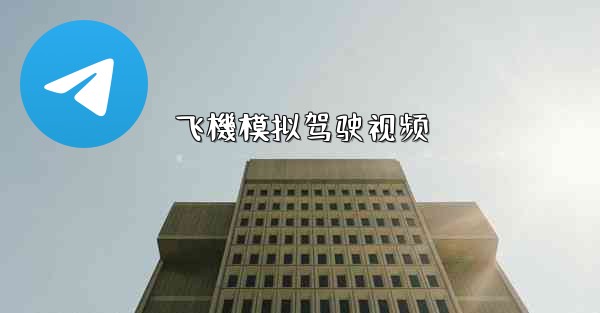 飞機模拟驾驶视频