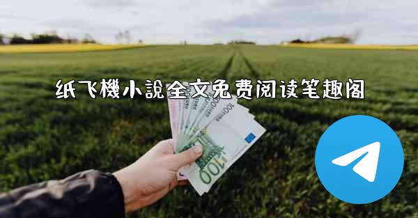 纸飞機小說全文免费阅读笔趣阁