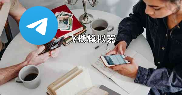 <b>飞機模拟器</b>