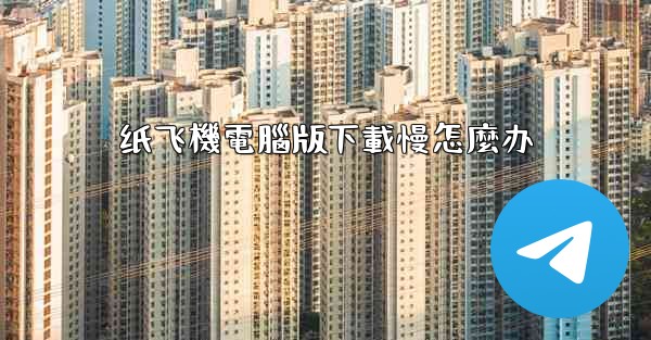 纸飞機電腦版下載慢怎麼办