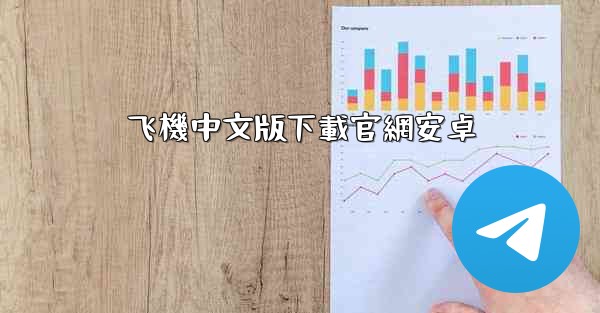 飞機中文版下載官網安卓