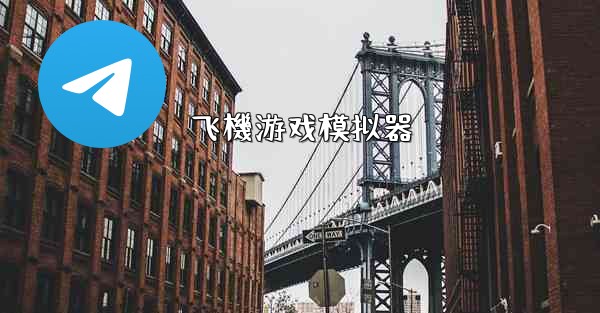 飞機游戏模拟器