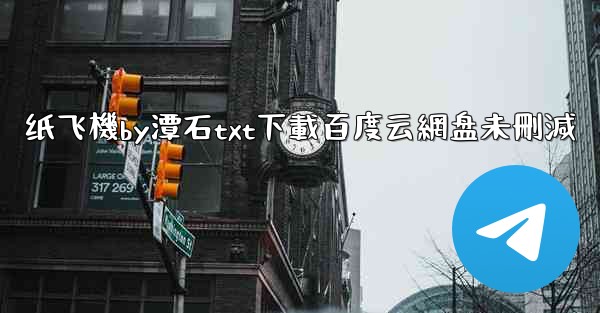 纸飞機by潭石txt下載百度云網盘未刪減