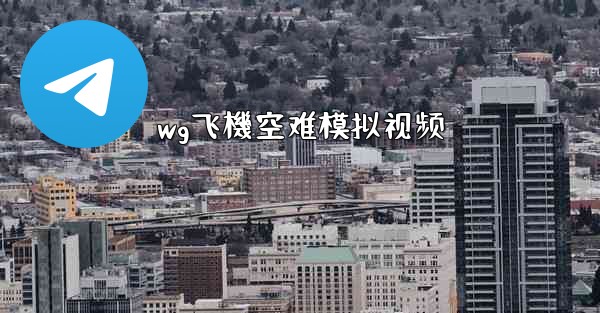 wg飞機空难模拟视频