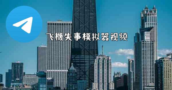 飞機失事模拟器视频