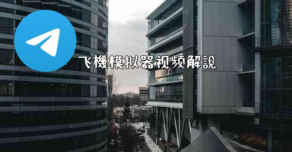 飞機模拟器视频解說