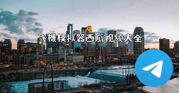 <b>飞機模拟器西瓜视频大全</b>