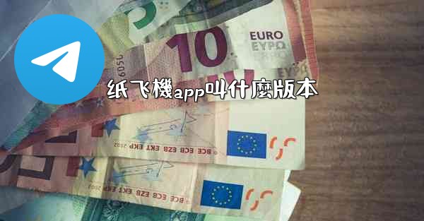 纸飞機app叫什麼版本
