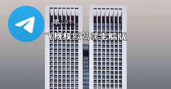 飞機模拟驾驶電腦版