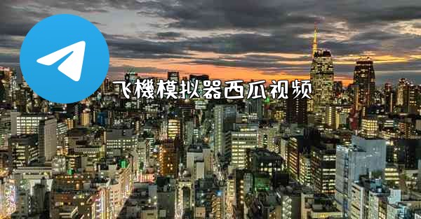 飞機模拟器西瓜视频