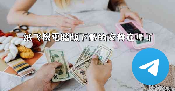 纸飞機電腦版下載的文件在哪了