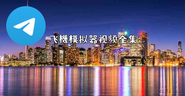 飞機模拟器视频全集
