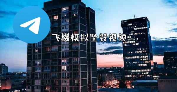 <b>飞機模拟坠毁视频</b>