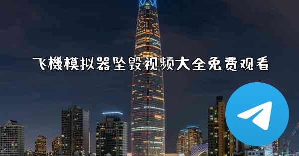 飞機模拟器坠毁视频大全免费观看