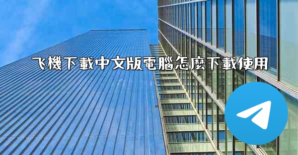 飞機下載中文版電腦怎麼下載使用