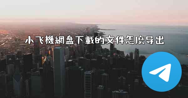 小飞機網盘下載的文件怎麼导出