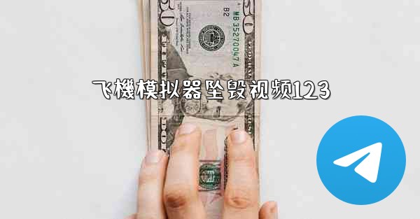 飞機模拟器坠毁视频123