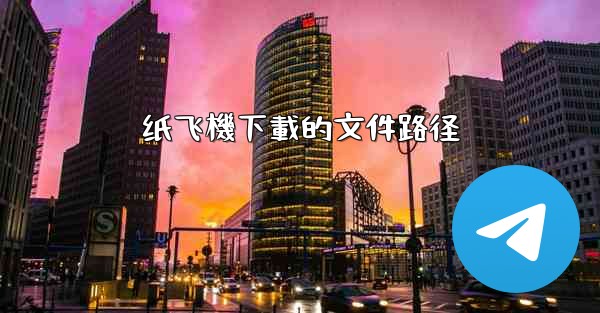 纸飞機下載的文件路径