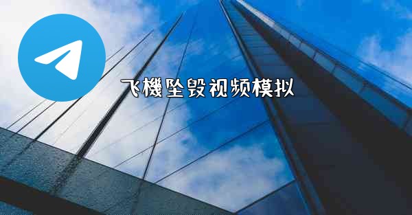 飞機坠毁视频模拟